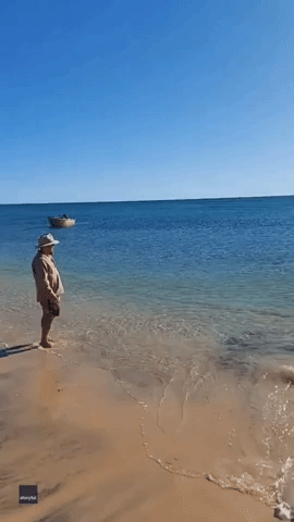 Dad Checking Water Before Kids' Swim Spots Shark in the Shallows