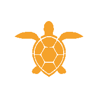 Sea Turtle Summer Sticker by Waikiki Trolley