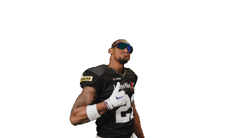 American Football Sticker by Frankfurt Galaxy