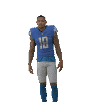 National Football League Sticker by Detroit Lions