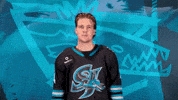 San Jose Love GIF by San Jose Barracuda