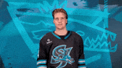 Way To Go Yes GIF by San Jose Barracuda