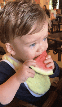 twinningituk food twins watermelon weaning GIF