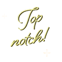 Top Notch Sticker by We Aim to Please