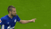 Soccer Goal GIF by FC Schalke 04