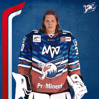 Eishockey GIF by Adler Mannheim