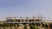 germany football GIF