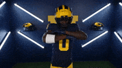 Go Blue College Football GIF by Michigan Athletics