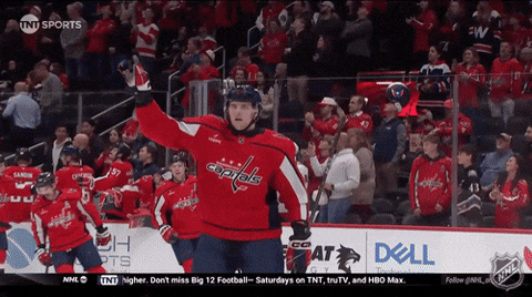 Happy Washington Capitals GIF by NHL
