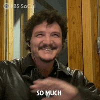Pedro Pascal Celebrity GIF by PBS SoCal