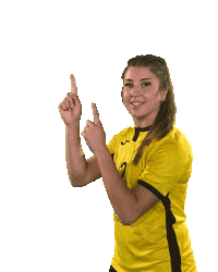 USC_Muenster ball volleyball vbl usc Sticker