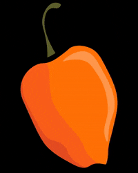 basecubica chile inmobiliaria merida yucatan GIF