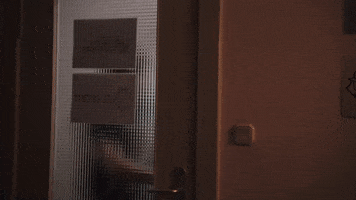League Of Legends Lol GIF by G2 Esports
