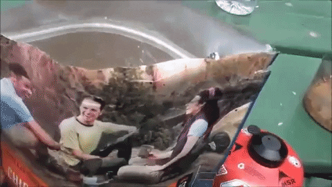 AmericanFirearms giphygifmaker GIF