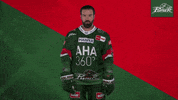 Hockey Del GIF by Augsburger Panther Eishockey GmbH