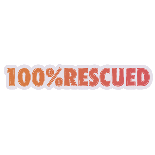 7kingcavaliers cavalier rescue dog cavalier king charles spaniel rescue animal Sticker