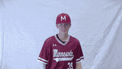 MNMASH no baseball wink homerun GIF