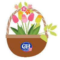 Spring Break Flowers Sticker by C&H Sugar