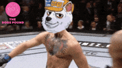 Conor Mcgregor Dog GIF by The Doge Pound 