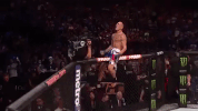 ufc 206 GIF