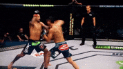 ufc 206 GIF