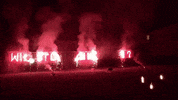 Du Willst GIF by Cherry Johnson