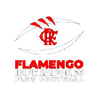 Football Flag Sticker by Flamengo Imperadores