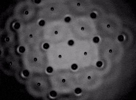 patterns beware GIF