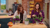 rachaelrayshow funny food gif rachel GIF