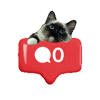 Meditherapy cool skincare newpost meow Sticker