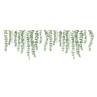 Studiodjo nieuwe post blaadjes bregne Sticker