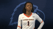 Cnvb Cnvb2019 GIF by Carson-Newman Athletics