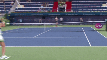 Daria Kasatkina Tennis GIF