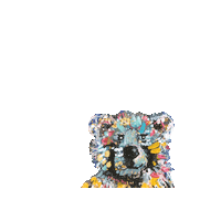 BethCanPaint bear watching bears sideeye Sticker