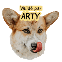 Pawsitivepetambassadeur Sticker by Pawsitive pet