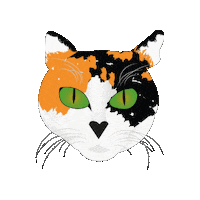 Gata Sticker by PURA QUITERIA