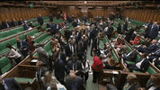 brexit parliament house of commmons GIF