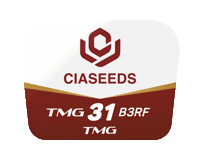 Tmg Sticker by Ciaseeds