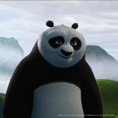 Kung Fu Ok GIF by DreamWorks Animation
