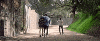 let you go GIF by The Chainsmokers