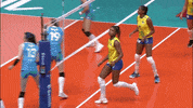 Happy Joy GIF by Volleyball World