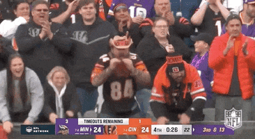 National Football League GIF by NFL
