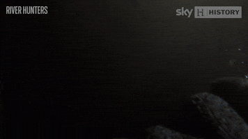 History Channel River Hunters GIF by Sky HISTORY UK