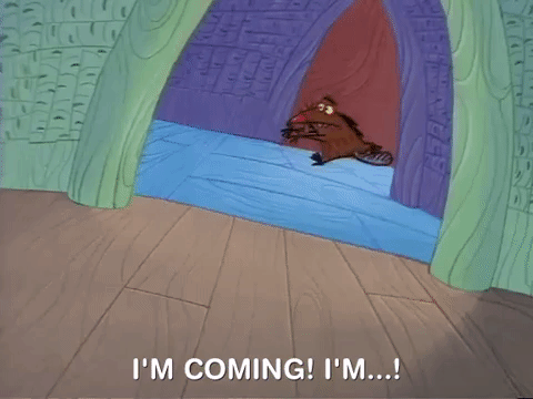 nickrewind giphydvr nicksplat angry beavers giphyab010 GIF