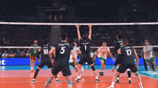 Go For It Wow GIF by Volleyball World