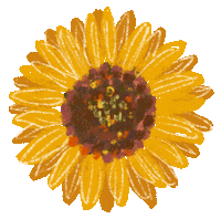 Sticker Flower Sticker by Doodleganger