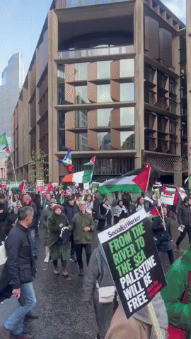 Pro-Palestine Protesters Rally in London to Demand Ceasefire in Gaza