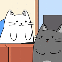 How It Works White Cat GIF by MESA My Emotional Support Animal