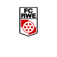 Football Sport Sticker by Steigerwaldstadion Erfurt