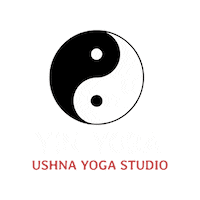 Yin Yoga Sticker by Ushna Yoga